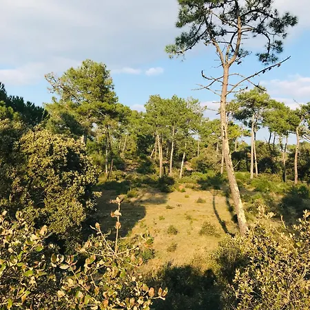 Apartamento Du Practice, Golf, Piscine Et Saint-Jean-de-Monts